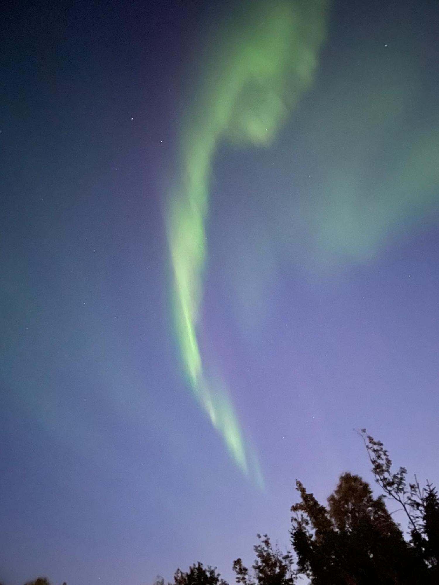 The Aurora Garden - 1Bedroom Apartment - Walking Distance From City Center Tromso Luaran gambar